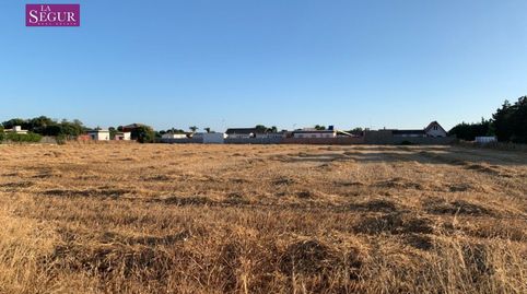 FINCA RUSTICA EN EL PALMAR, imatge 3