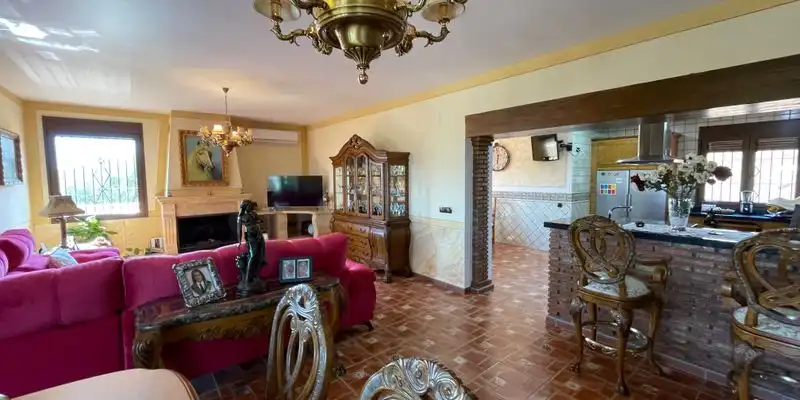 Sala d'estar de Casa o xalet en venda en Loja amb Aire condicionat, Jardí privat i Terrassa
