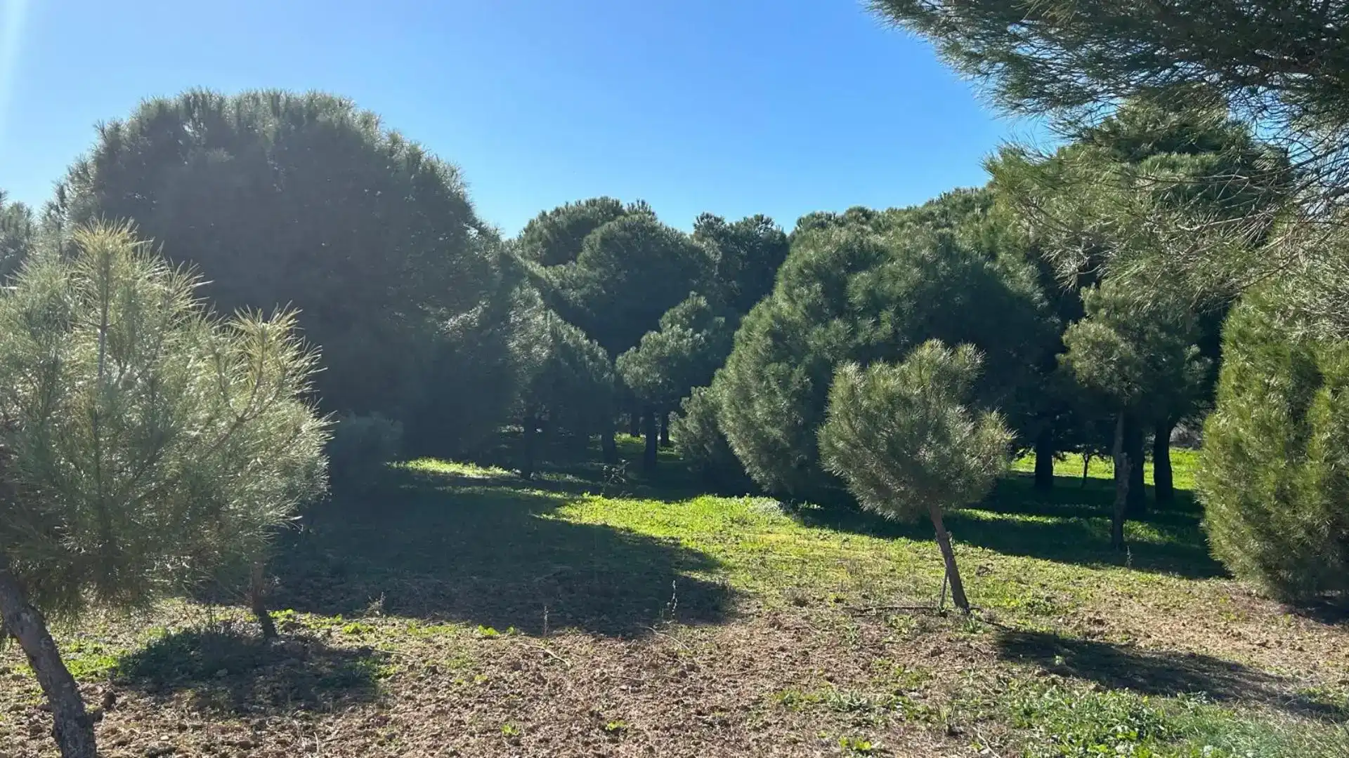 Finca rústica en venda en Puebla de Sancho Pérez amb Piscina i Moblat