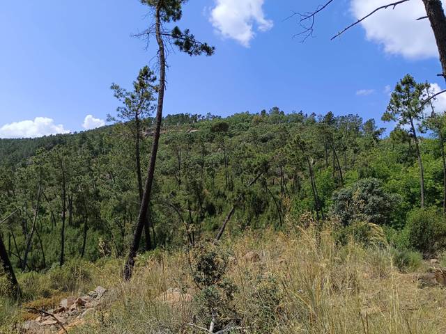 Terreno residencial en Venta en San Roque - Ronda Norte