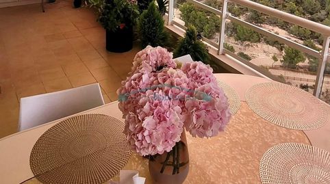 Foto 4 de Apartament en venda a Via Parque, Benidorm