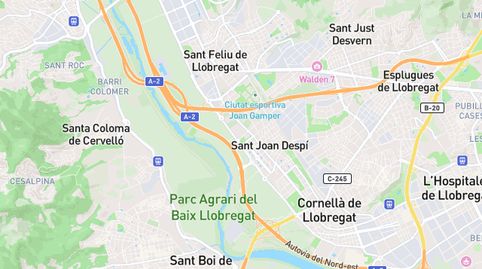 Foto 4 de Pis en venda a Molí Nou - Ciutat Cooperativa, Sant Boi de Llobregat