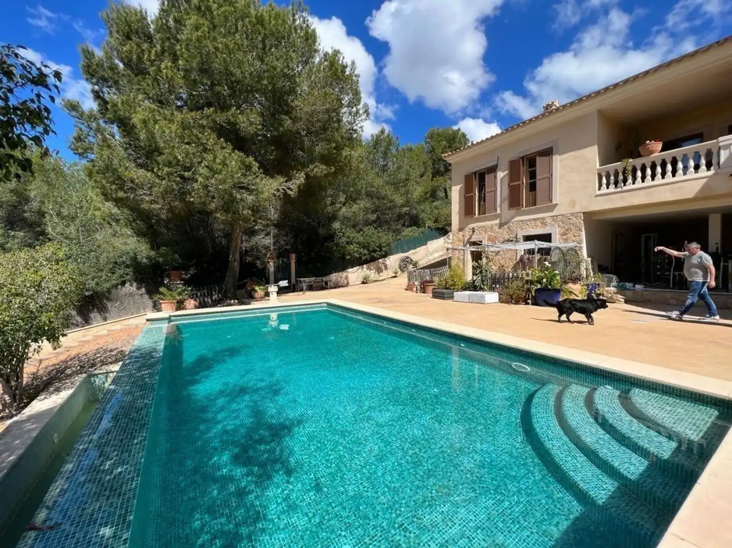 Houses for sale in Calvià - Carrer de Malgrat, Peguera