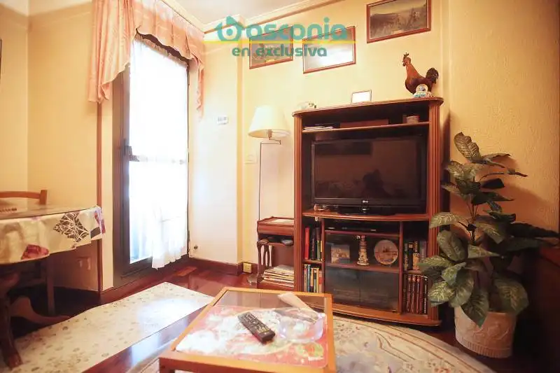 Appartement avec terrasse à vendre à Karmelo Torre Kalea, imagen 24