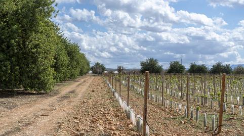 Foto 2 de Residencial en venta en Binissalem, Illes Balears