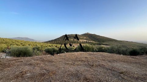 Foto 4 de Finca rústica en venta en Las Vegas - Campoaras, Lucena