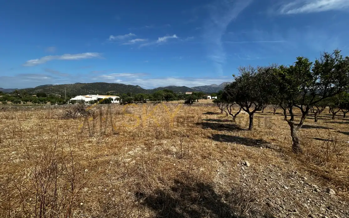 Terrain rustique à vendre à Diseminado Poligono 9 278, imagen 2