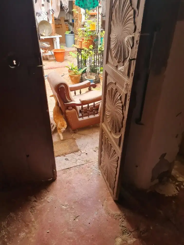 Inmuebles singulares en venta en Calle Ríos Rosas, imagen 5