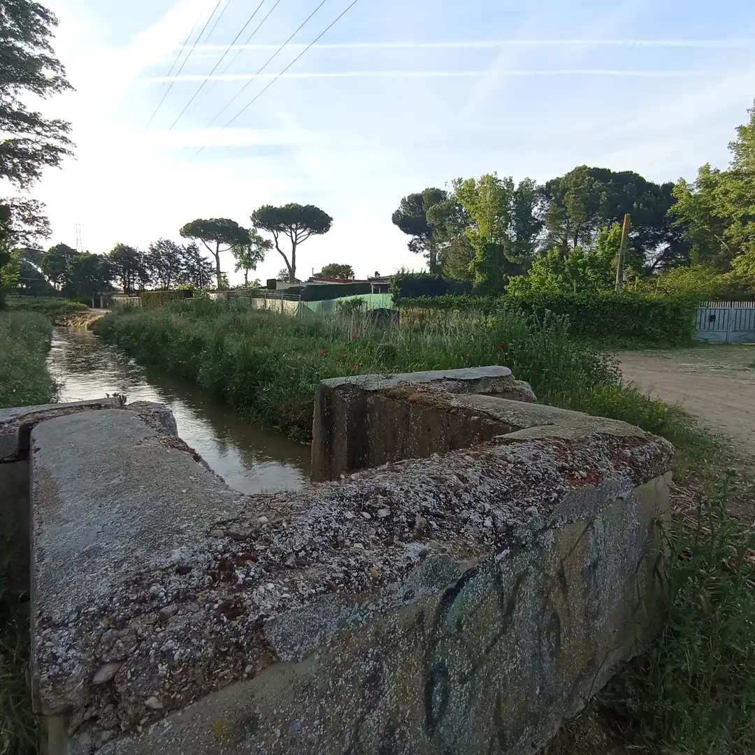 Jardín de Casa o chalet en venta en Valladolid