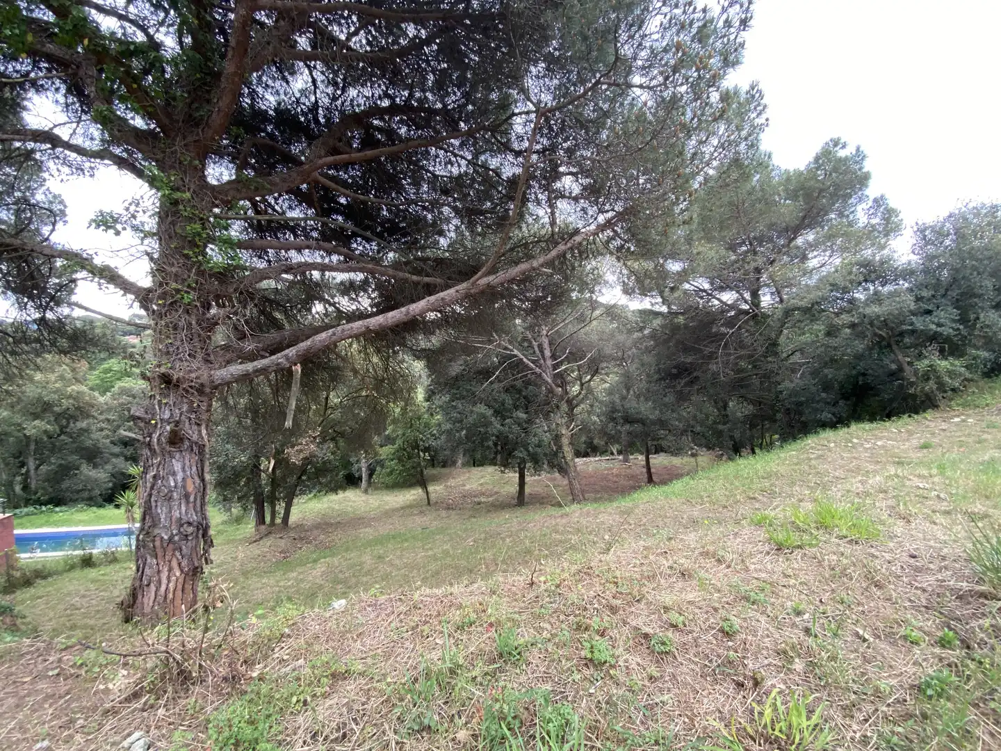Residencial en venta en Sant Pere de Vilamajor