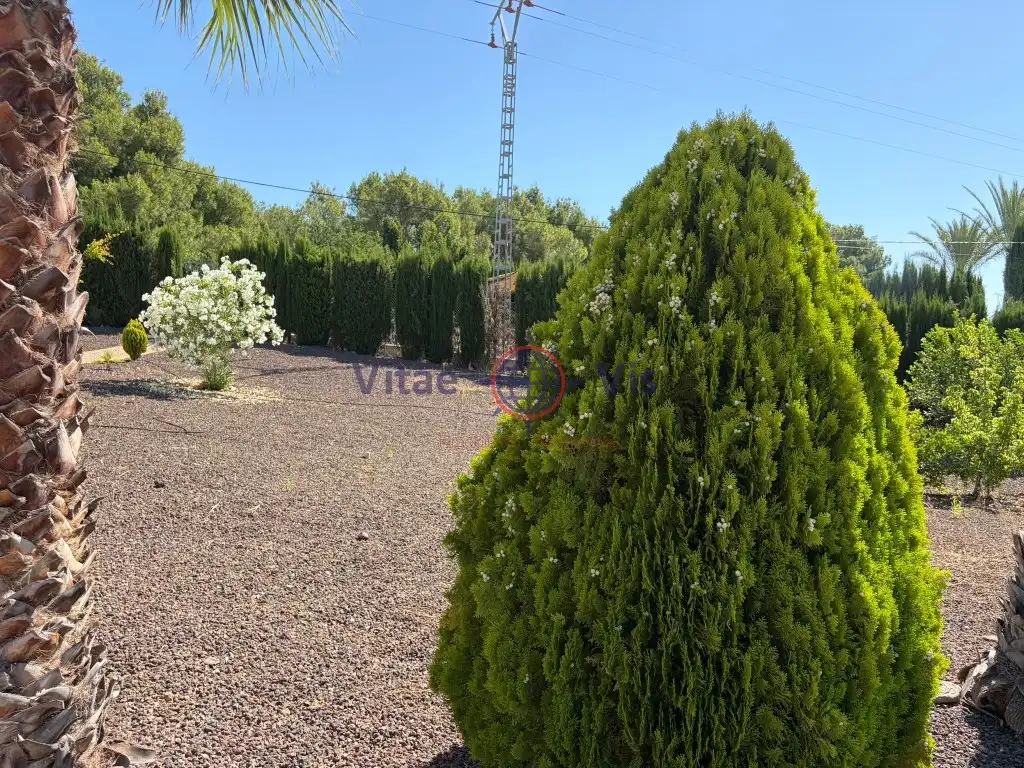 House with terrace for sale in Diseminados Morti Alto, imagen 7