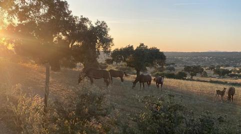 Photo 5 of Residential for sale in Badajoz, Aljucén, Badajoz