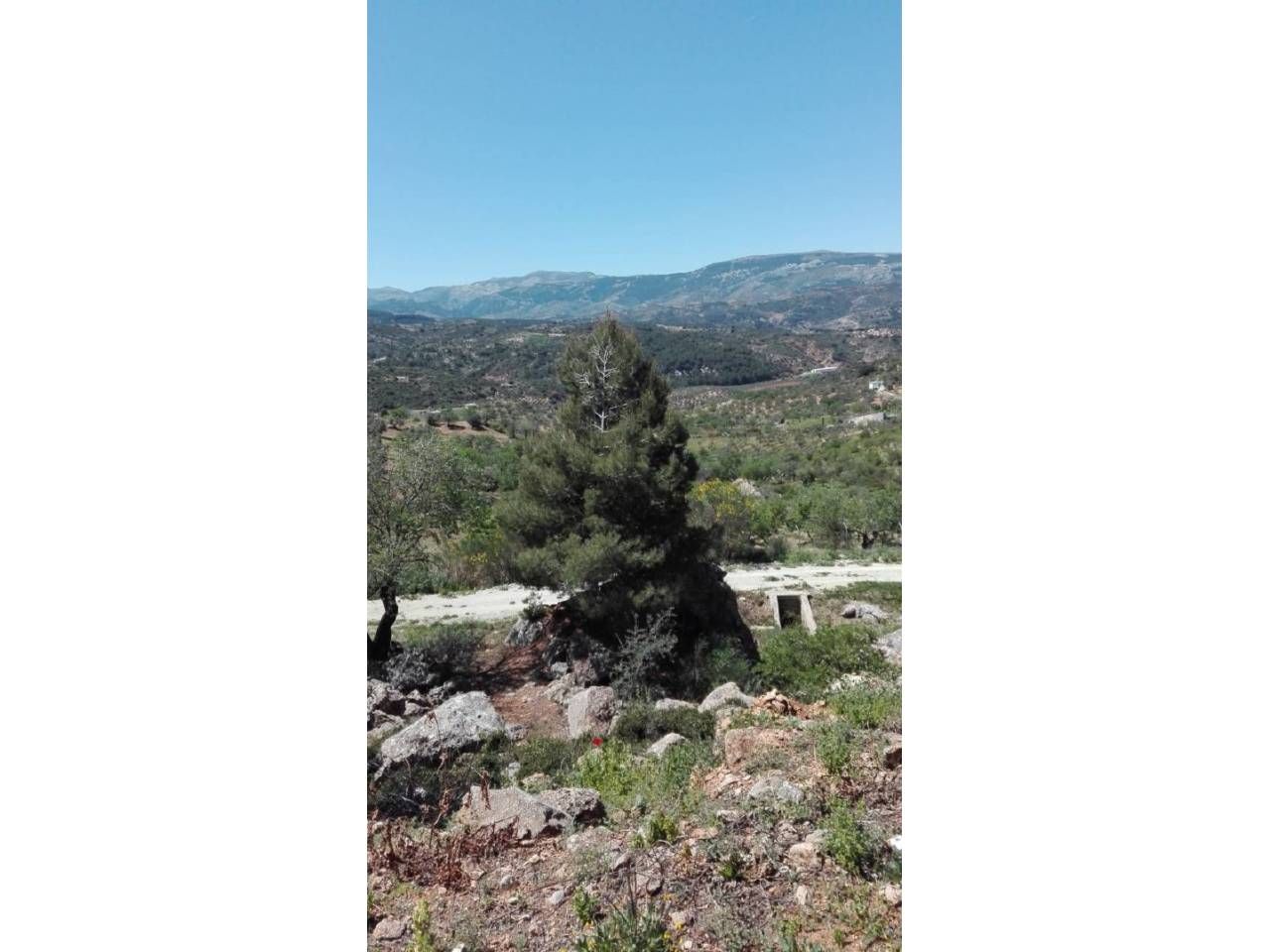 Industrial land for sale in Casarabonela