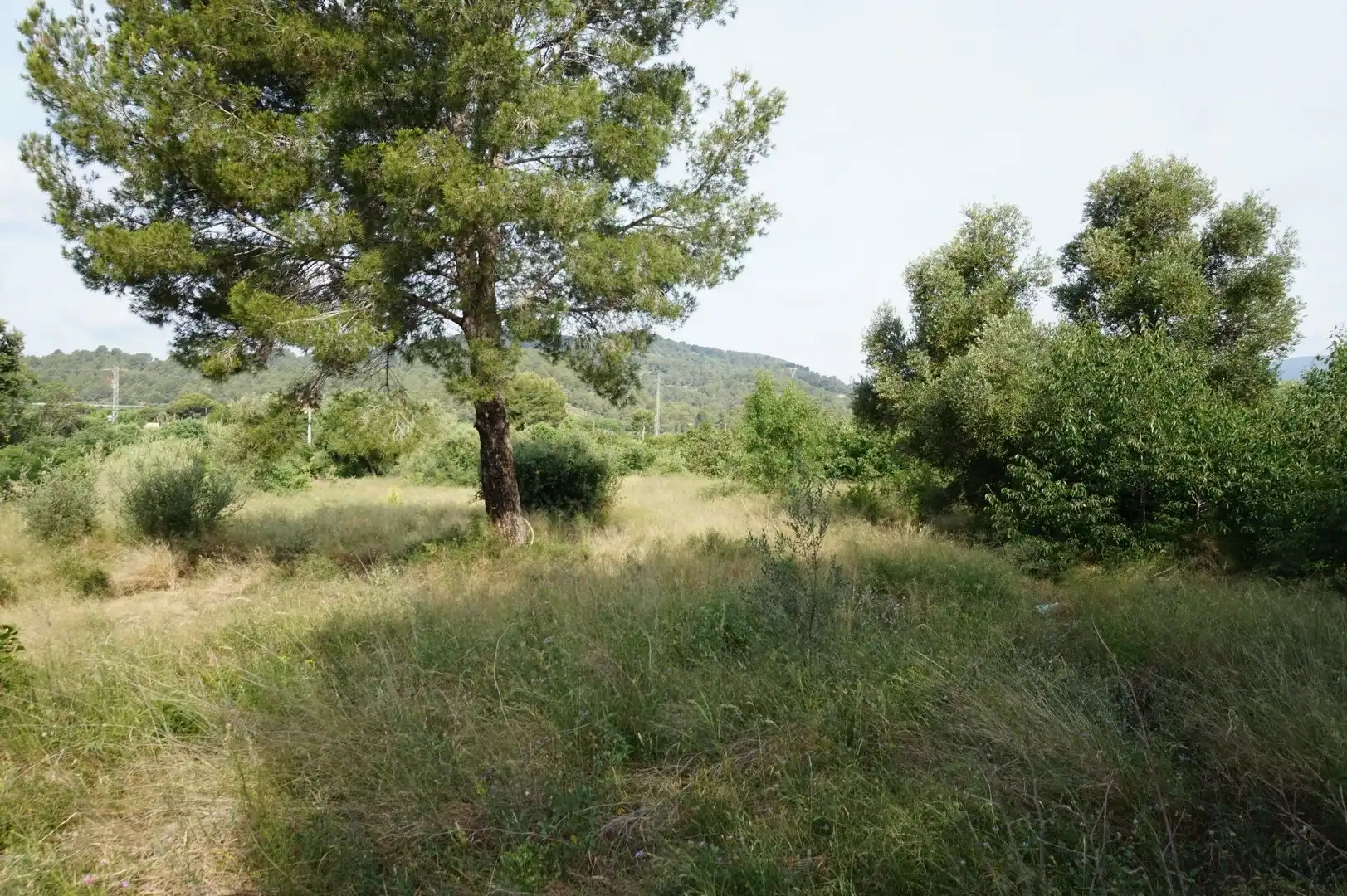 Maison rustique à vendre à Les Borges del Camp, imagen 17