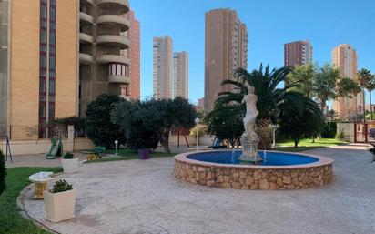 Exterior view of Flat to rent in Benidorm  with Air Conditioner, Oven and Washing machine