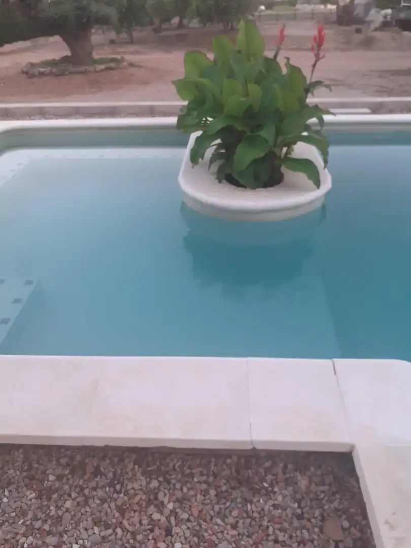 Swimming pool of Houses for sale in Roquetes  with Air Conditioner, Heating and Private garden