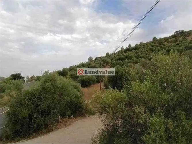 Land for sale in Algodonales