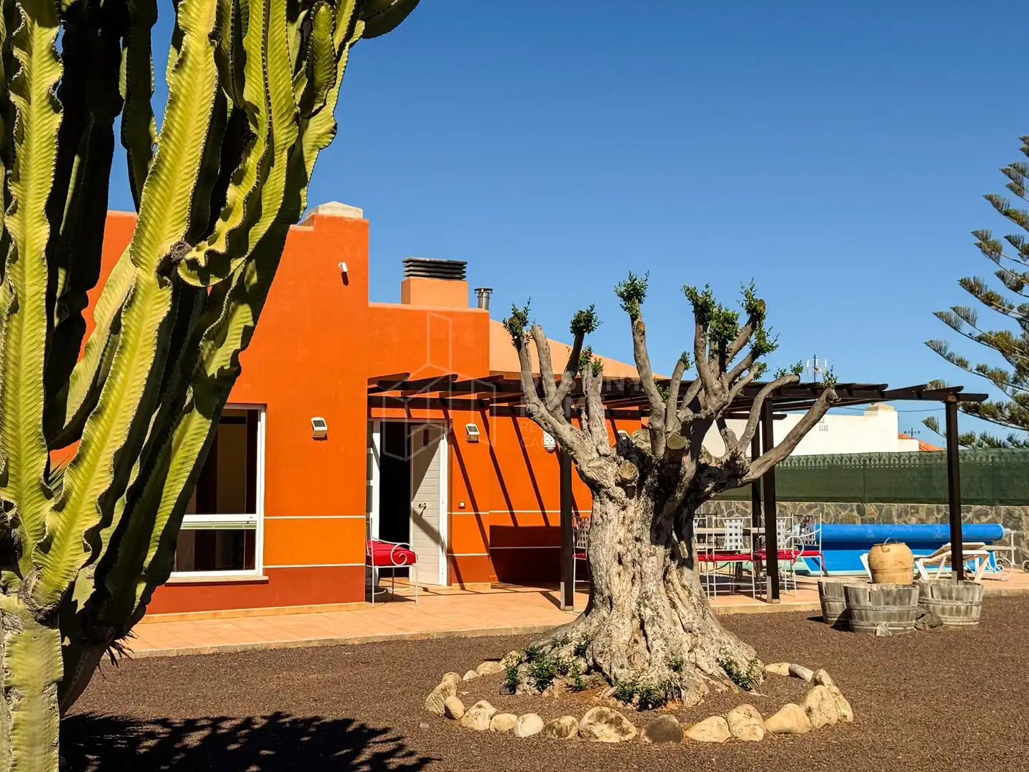 Xalet amb piscina en venda a Avutarda, imagen 3
