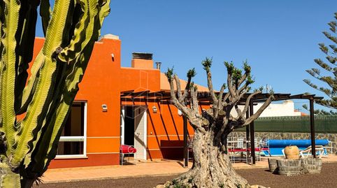 Foto 3 de Casa o chalet en venta en Avutarda, Corralejo, La Oliva
