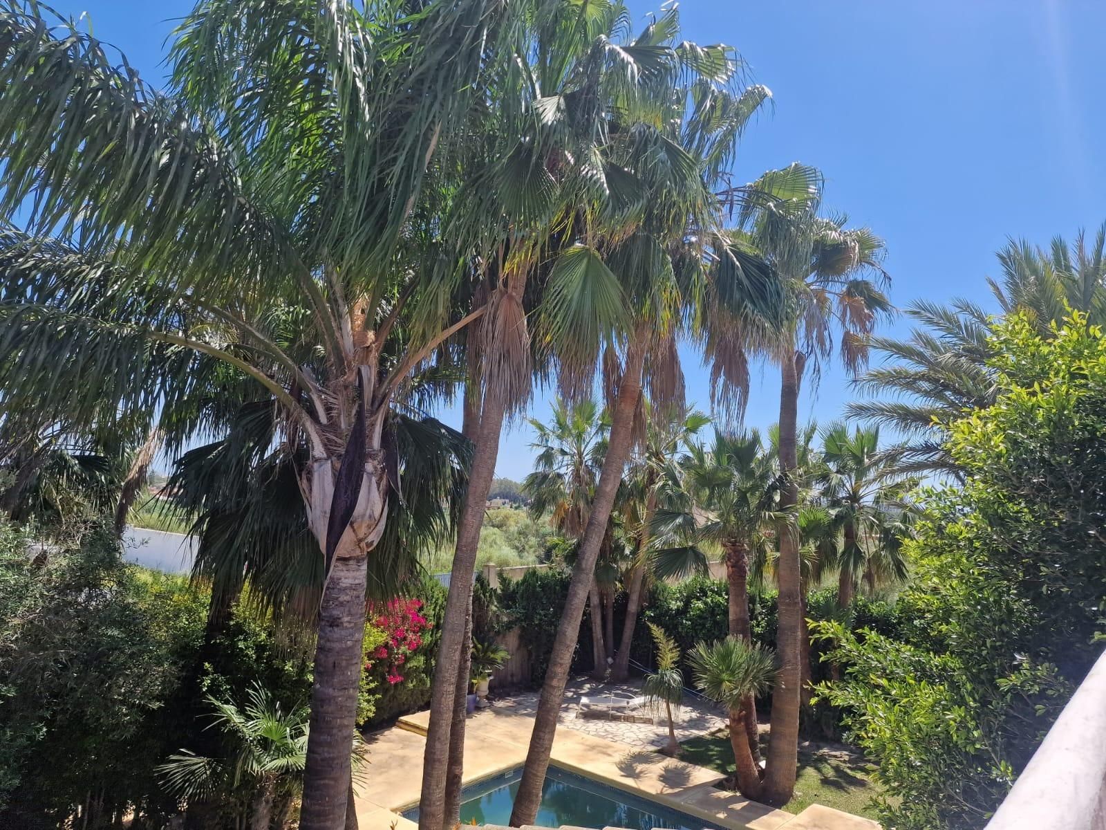 Jardí de Casa o xalet en venda en El Puerto de Santa María amb Jardí privat i Piscina comunitària