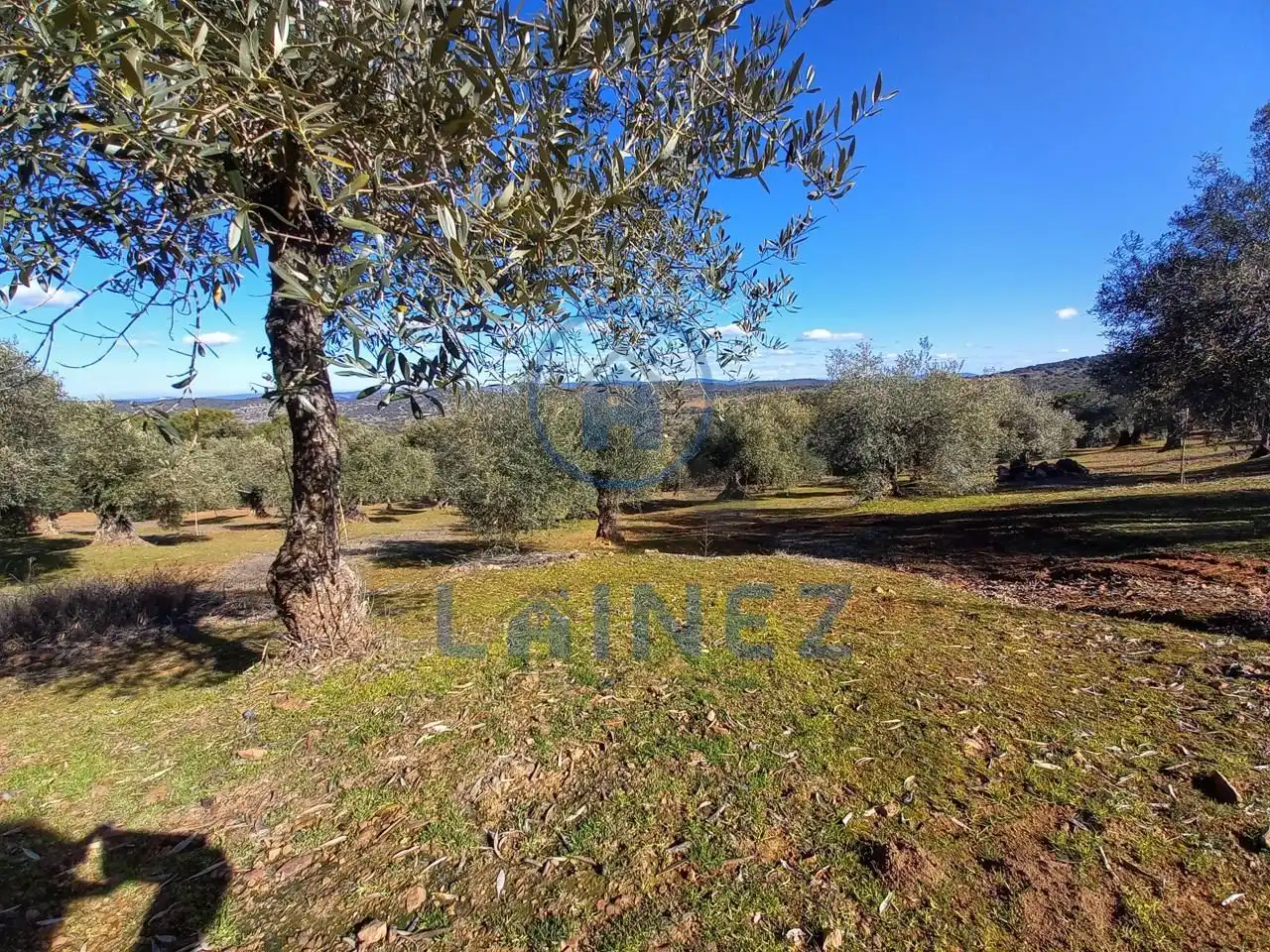 Terreno residenziale in vendita a Villanueva del Rey, imagen 51