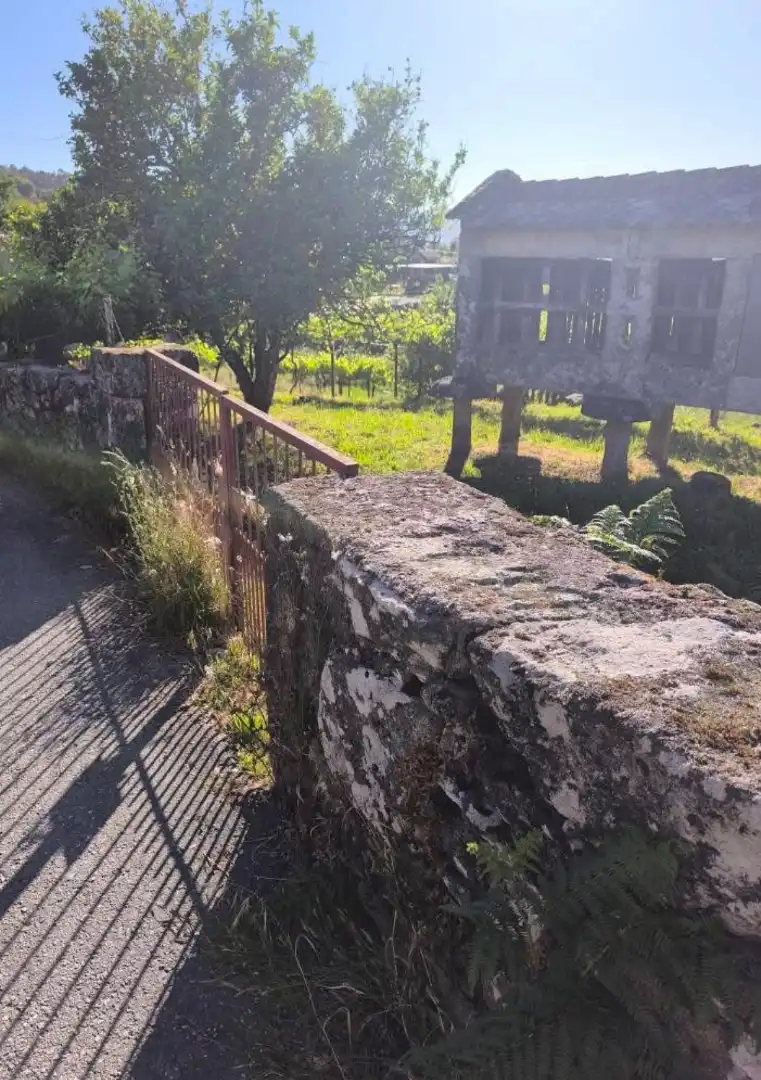 Lands and plots for sale in Poblado Moreira