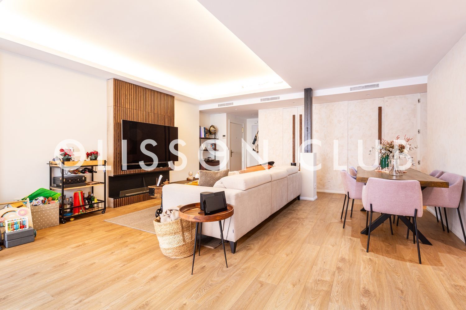 Living room of Flat for sale in  Madrid Capital  with Air Conditioner and Heating