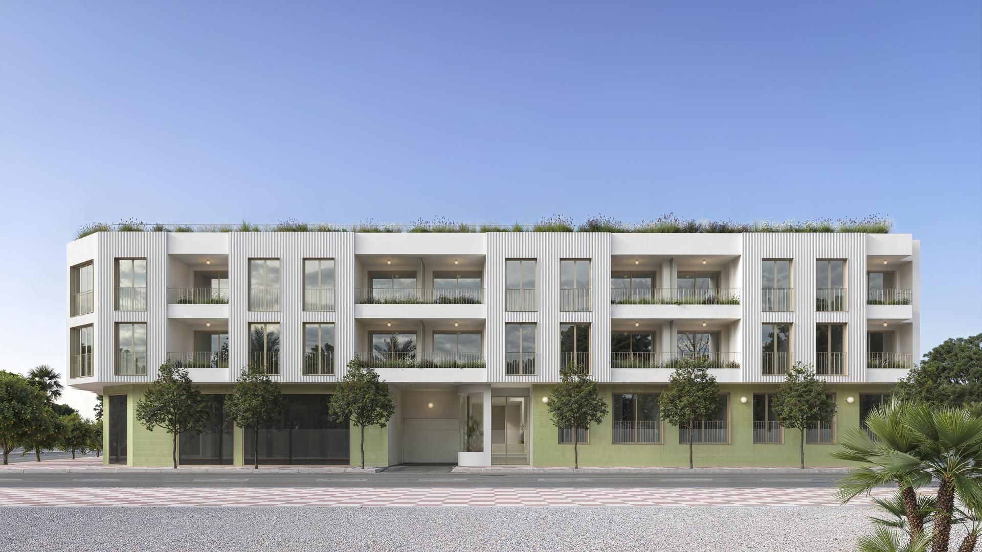 Vista exterior de Apartament en venda en Jacarilla amb Piscina comunitària