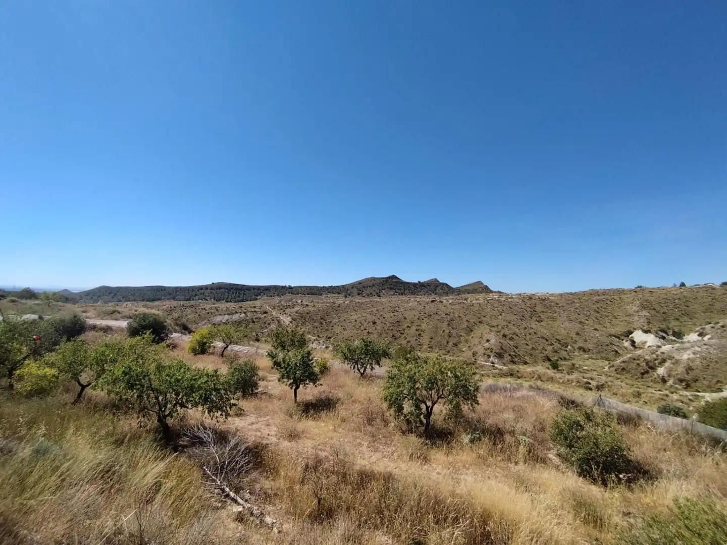 Casa o chalet en venta en Murcia con Trastero y Amueblado