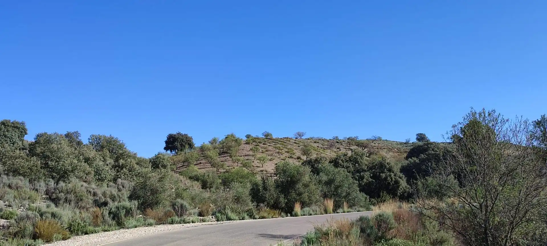 Finca rústica en venta en Lorca con Calefacción