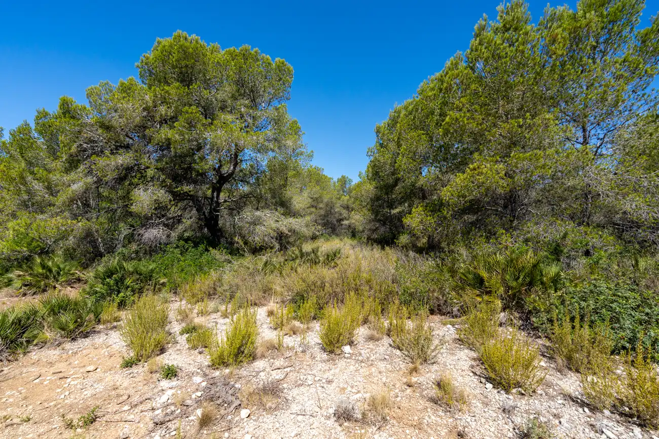 Terreno en venta en L'Ametlla de Mar 