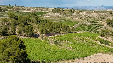 Foto 5 de Casa o xalet en venda a Paraje la Alberquilla, Jumilla, Murcia