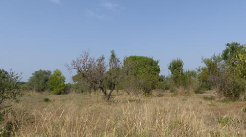 Photo 4 of Residential for sale in Carrer de Les Liles, Migjorn, Tarragona