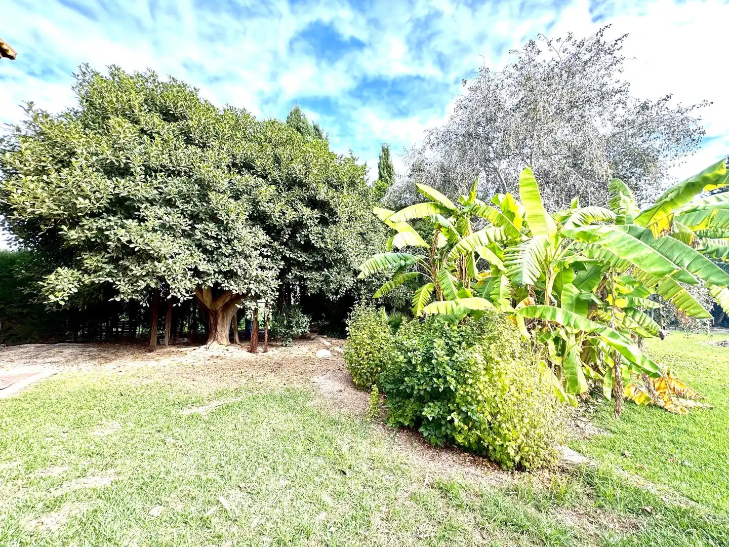 Casa rústica con jardín en venta en Daya Nueva, imagen 49
