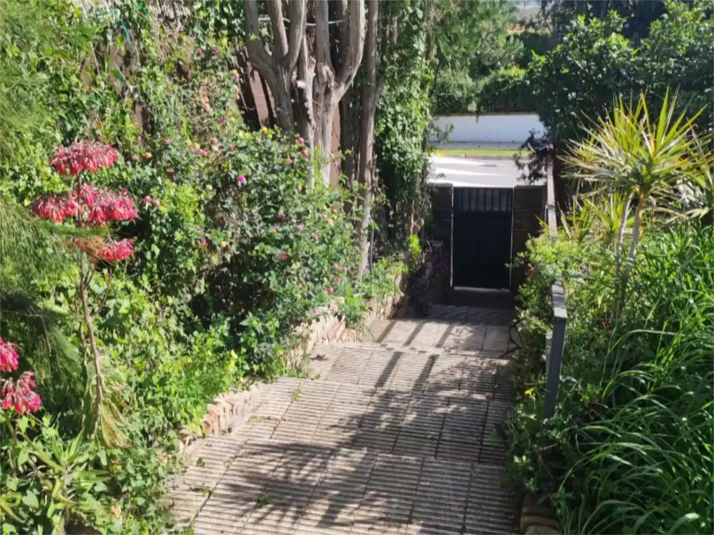 Jardí de Casa o xalet en venda en Alcalá de Guadaira amb Piscina