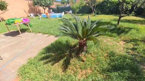 Foto 4 de Casa o chalet en venta en Puig Ses Forques - Torre Colomina, Calonge i Sant Antoni