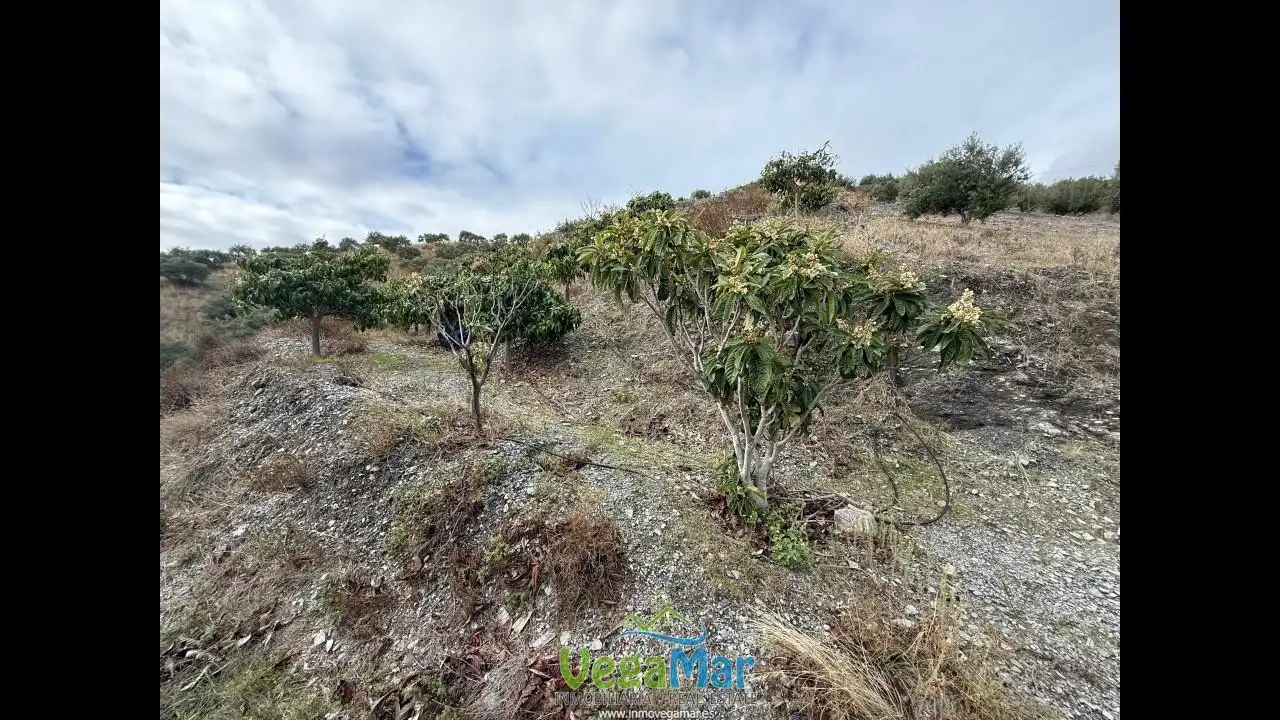 Terreny rústic en venda a Polígono 4, imagen 9