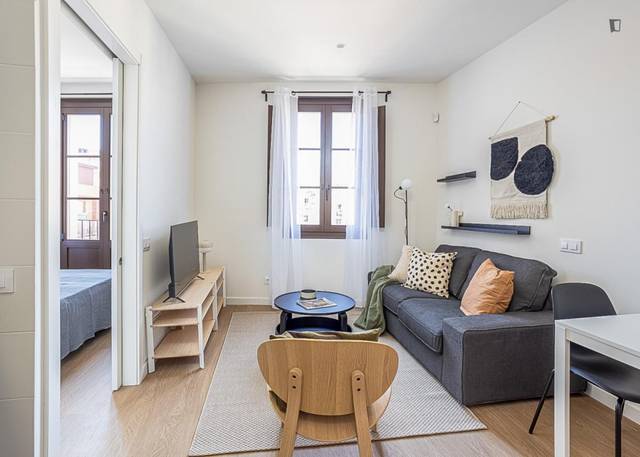 Apartamento en Alquiler en El Raval