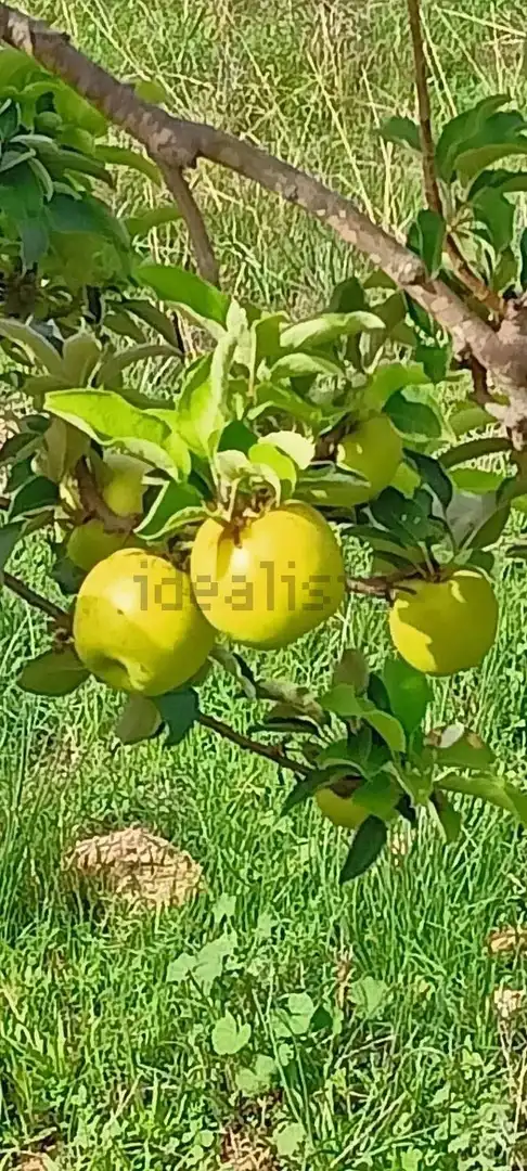 Terreno residenziale in vendita a La Huerta, imagen 8