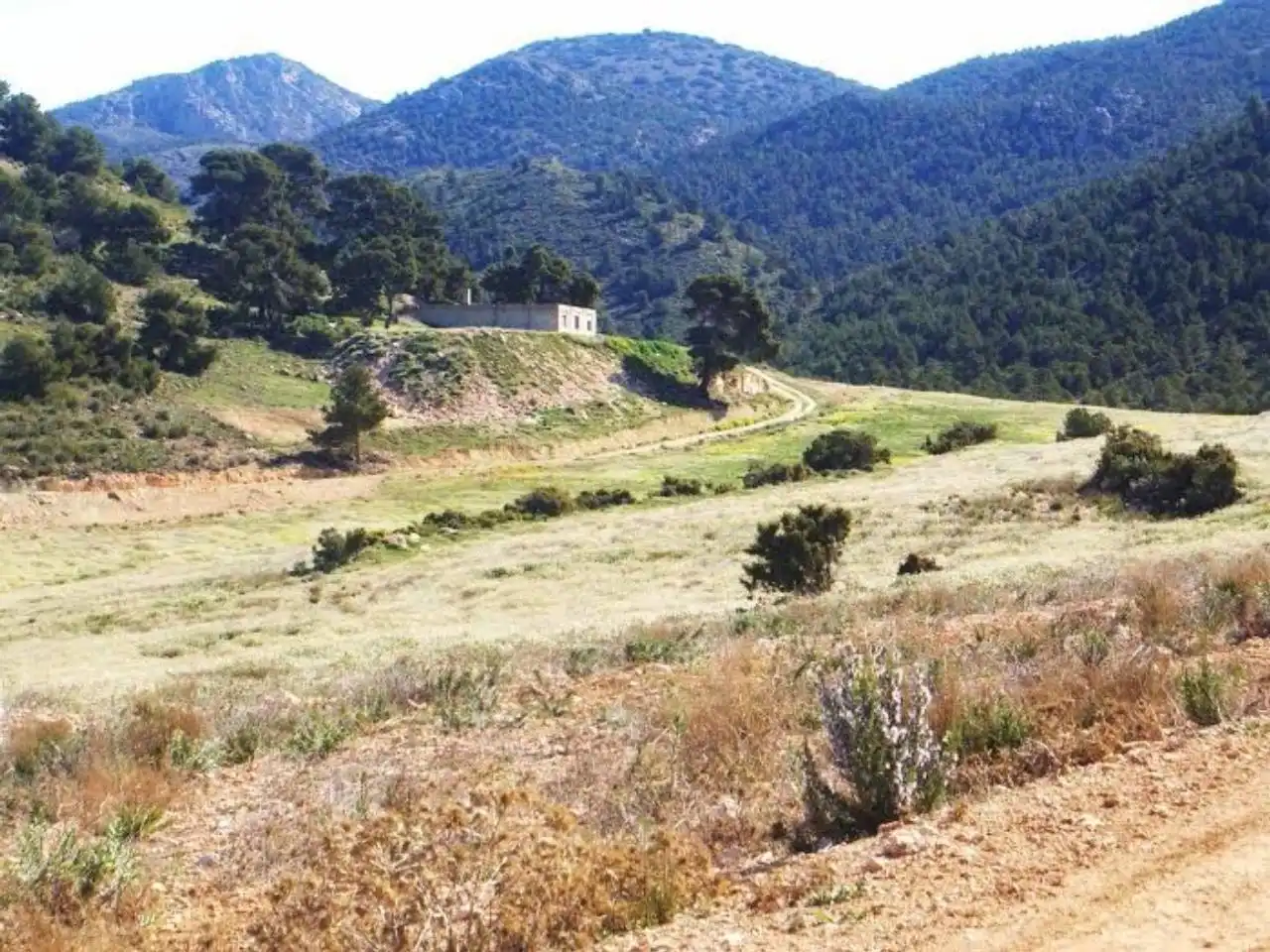 Terrains et parcelles à vendre à Pedanías Norte