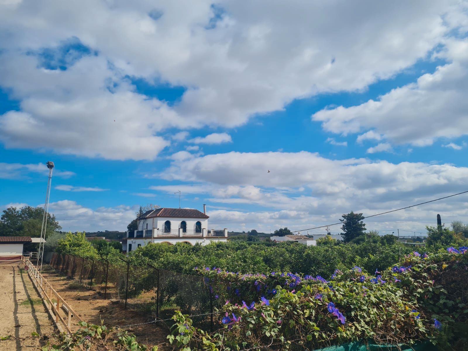 Außenansicht von Country house zum verkauf in Cantillana mit Privatgarten, Terrasse und Schwimmbad