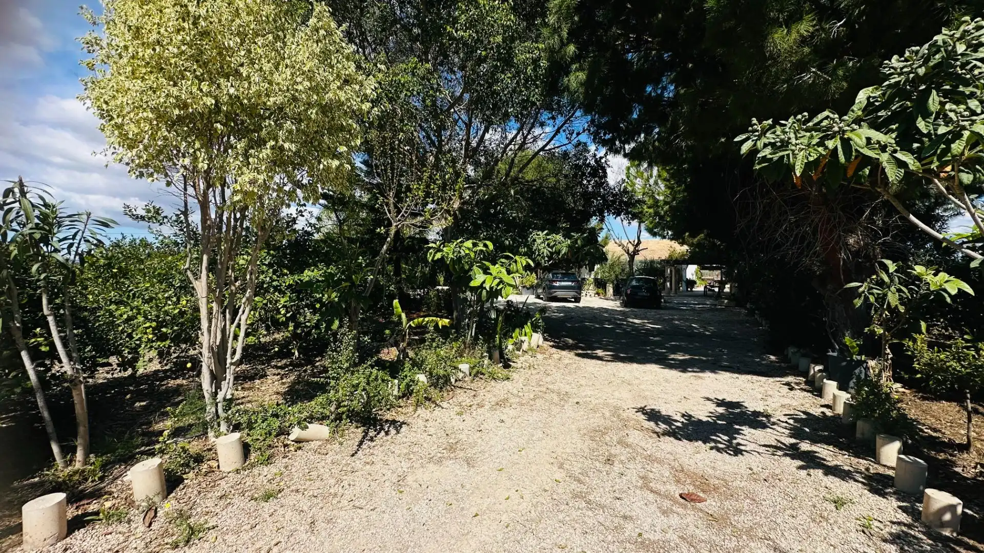 Vista exterior de Casa o xalet en venda en Elche / Elx amb Jardí privat, Traster i Piscina