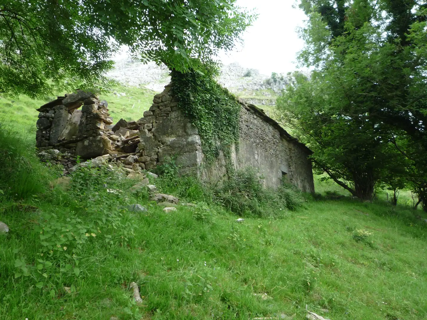 Terreno rustico in vendita a Liérganes