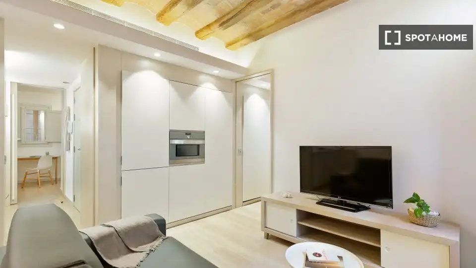 Flat with terrace to rent in Ciutat Vella, imagen 7