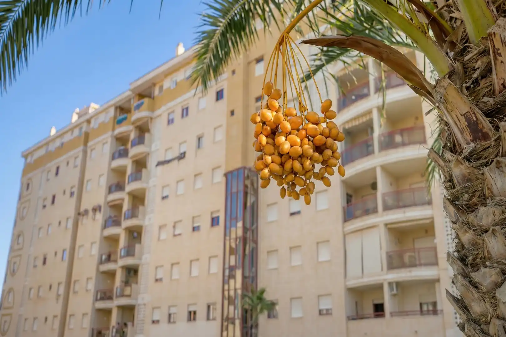 Vista exterior de Piso en venta en Villajoyosa / La Vila Joiosa con Terraza, Horno y Piscina comunitaria