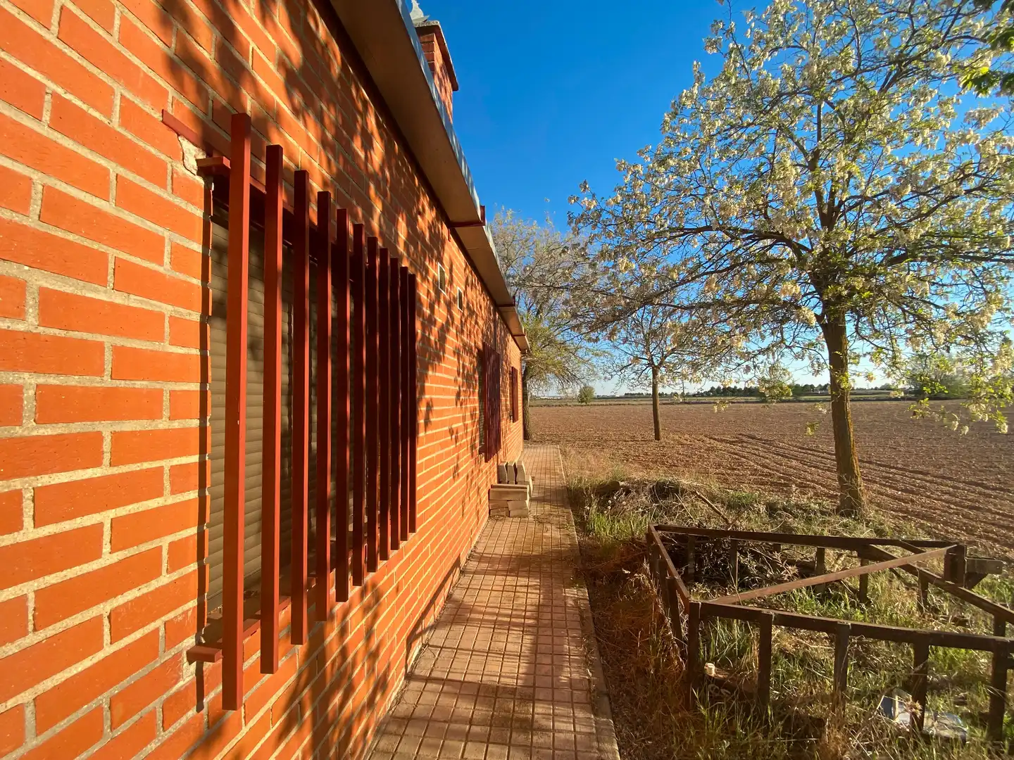 Vista exterior de Casa o chalet en venta en Tomelloso con Jardín privado, Trastero y Amueblado