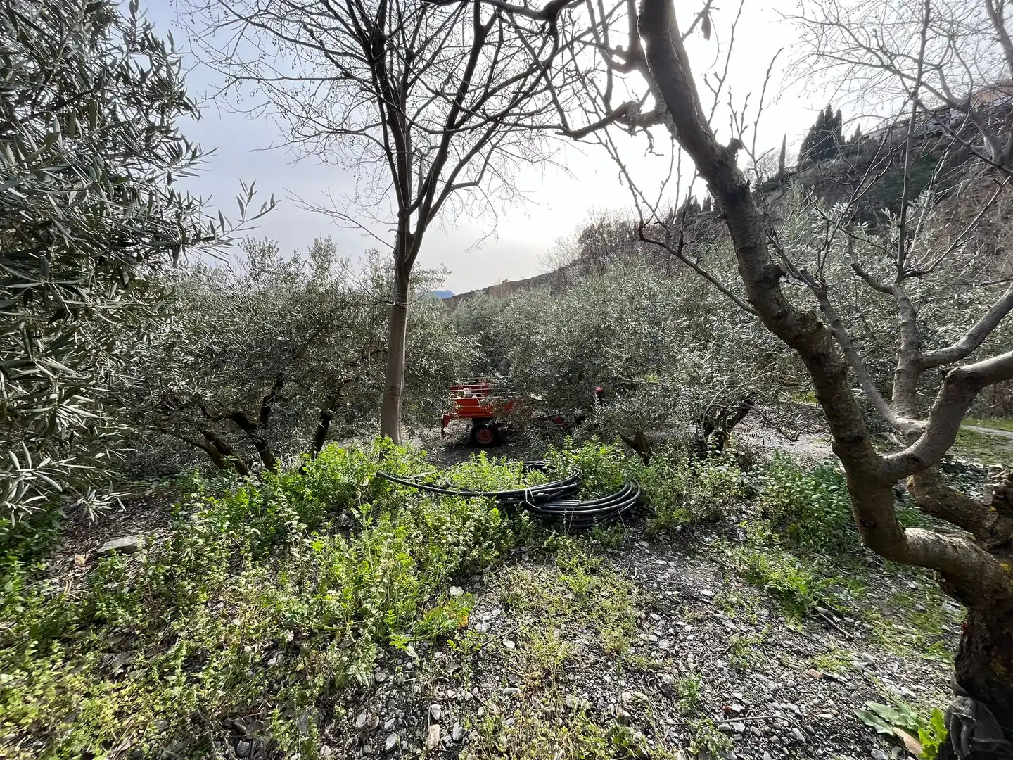 Terreny en venda en Lecrín