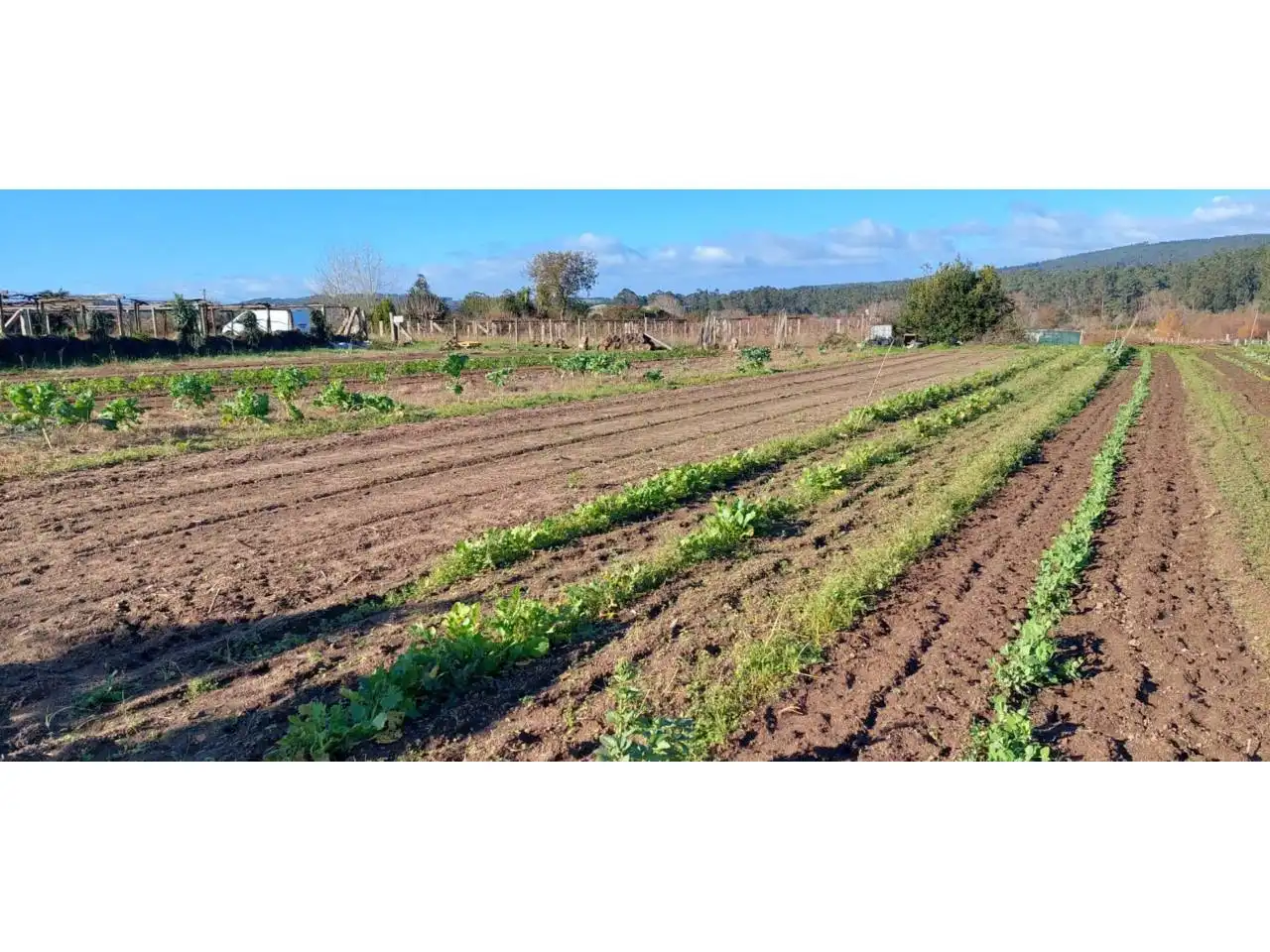 Terreno rustico in vendita a Ribadumia, imagen 5