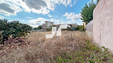 Foto 4 von Grundstücke zum Verkauf in Iturbi, Les Alqueries / Alquerías del Niño Perdido, Castellón