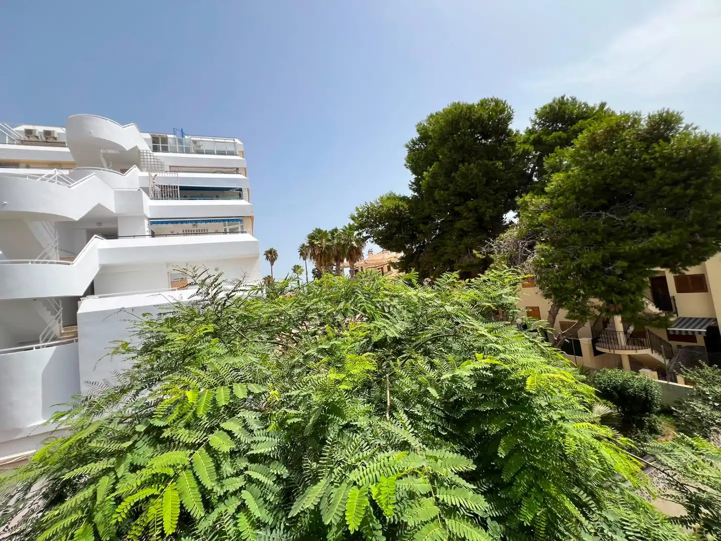 Wohnungen zur Miete in Torrevieja mit Terrasse